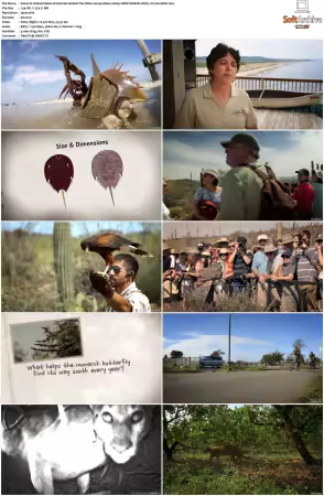 United States of Animals S01 1080p DSNP WEB-DL DDP5.1 H264-Sloth