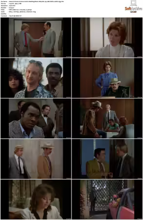 Simon and Simon S01 S08 1080p Blu-ray 10Bit DDP2.0 HEVC-d3g