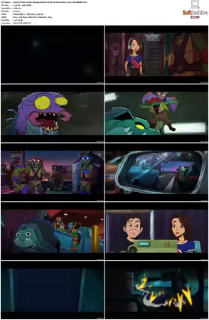 Tales of the Teenage Mutant Ninja Turtles S02 720p x264-AMBER