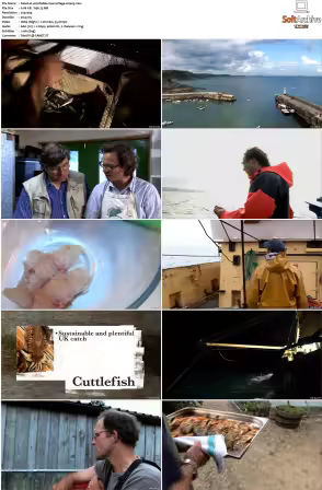 River Cottage S10 DVDRIP X264-WATCHABLE