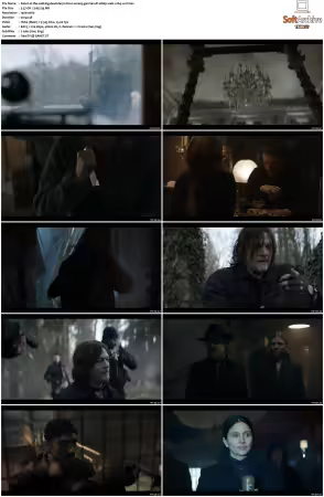 The Walking Dead Daryl Dixon S01 German DL 1080p WEB x264-WvF