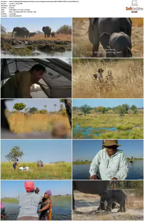 Walking With Elephants S01 1080p AMZN WEB-DL DDP2.0 H264-NPMS