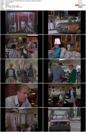 Simon and Simon S01-S08 1080p Blu-ray 10Bit DDP2.0 HEVC-d3g