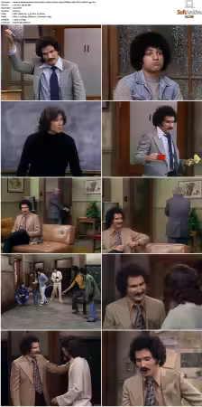 Welcome Back Kotter S01 S04 1080p WEBRip 10Bit DDP2.0 HEVC-d3g