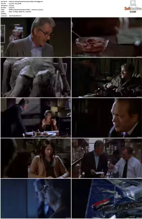 Waking The Dead S01 S09 DVDRip XviD-Mixed