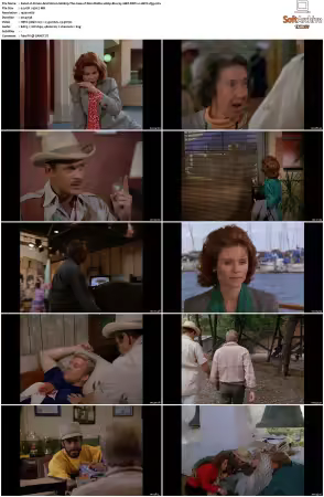 Simon and Simon S01-S08 1080p Blu-ray 10Bit DDP2.0 HEVC-d3g