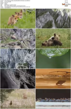 Wild Romania S01 2160p HMAX WEB-DL HEVC DDP5.1 H265-SPWEB