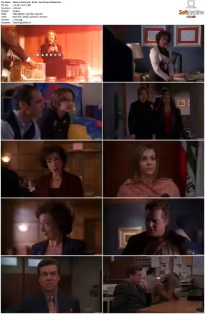 Family Law 1990 S01-S03 720p WEB x264-NGP