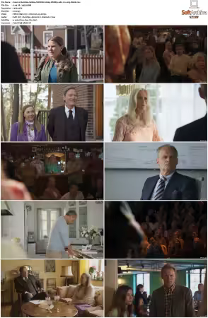 Solsidan S01-S09 1080p WEB-DL H264 x265-WoKE