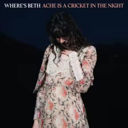 Where's Beth - Ache Is A Cricket In The Night (2026) (Hi-Res) FLAC/MP3