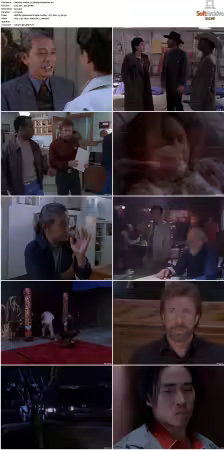 Walker Texas Ranger S01-S09 DVDRip XviD-Mixed