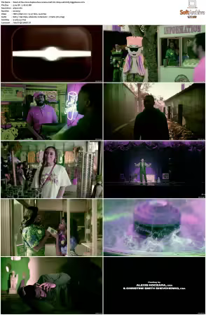 The Vince Staples Show S01 S02 MULTI DV 2160p WEB H265-HiggsBoson