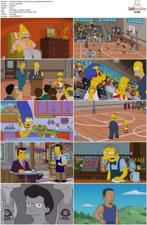 The Simpsons S28 1080p Web-DL x264-OFT