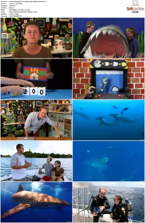Weird But True S01 S03 1080p WEB H264-S