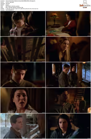 Party of Five 1994 S01-S06 1080p WEBRip DDP5.1 H265-d3g