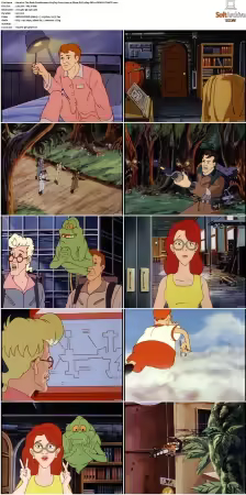 The Real Ghostbusters S01-S07 DVD REMUX-MIXED