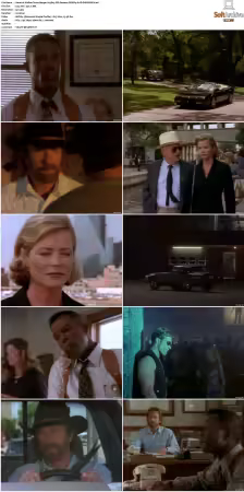 Walker Texas Ranger S01-S09 DVDRip XviD-Mixed