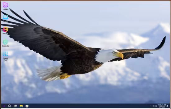 Windows 11 Pro Lite 25H2 Build 26200.8037 Eagle11 Edition