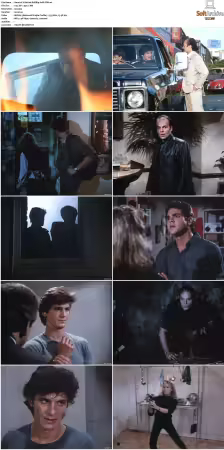V Boxset 1983-2009 DVDRip XviD-Scene