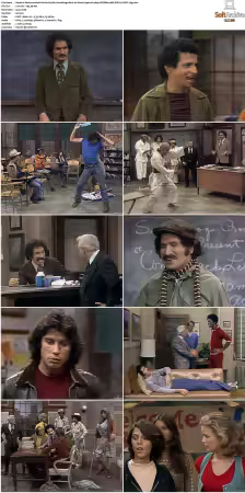 Welcome Back Kotter S01-S04 1080p WEBRip 10Bit DDP2.0 HEVC-d3g