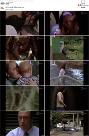 Water Rats S01-S06 WEB-DL AAC2.0 H264-BTN