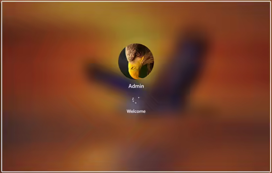 Windows 11 Pro Lite 25H2 Build 26200.8037 Eagle11 Edition
