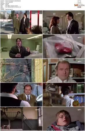 Kommissar Rex S01 S10 German 1080p HDTV x264-OMGtv