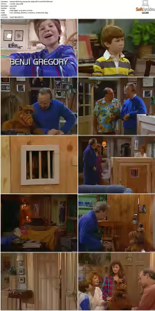 Alf S01 German DL 1080p MiXED x264-TVNATiON