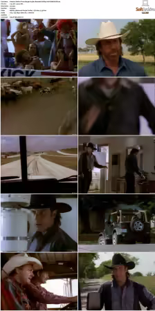 Walker Texas Ranger S01-S09 DVDRip XviD-Mixed