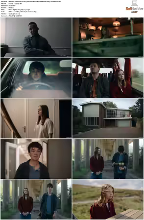 The End of the Fing World S01 S02 1080p WEB H264 DDP5.1-DERMAGiC