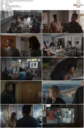 The Bay 2019 S01 S05 1080p AMZN Webrip DDP2.0 x265-Vialle