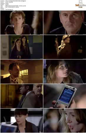 Waking The Dead S01-S09 DVDRip XviD-Mixed