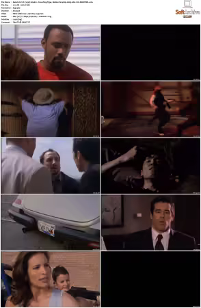 V.I.P. 1998 S01 S04 480p H265 AAC 2CH-MNKYDDL