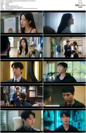 My Dearest Nemesis S01 1080p VIKI WEB-DL AAC2.0 H264-SiGLA