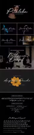 Pitaloka - Stylist Signature Script Font