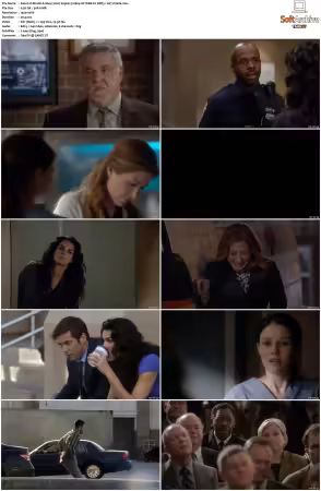 Rizzoli and Isles 2010 S01-S07 1080p NF WEB-DL DDP5.1 AV1-Vialle