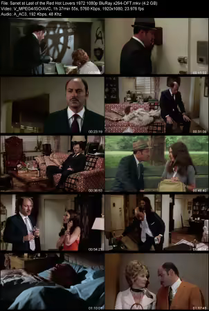 Last of the Red Hot Lovers 1972 1080p BluRay x264-OFT