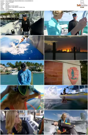 PARKD S01 S05 1080p FOX WEB-DL AAC 2.0 H264-ARCHIVED