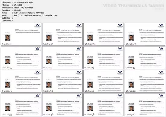 Overview - Automotive Quality Management (IATF 16949:2016)