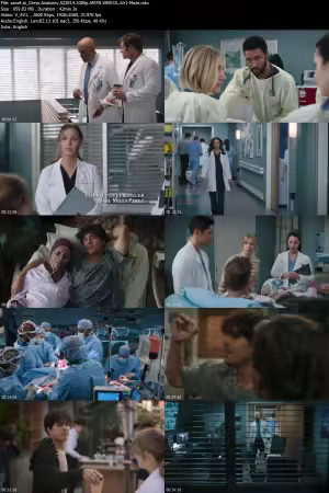 Greys Anatomy S22E14 1080p AMZN WEB-DL AV1-Maze