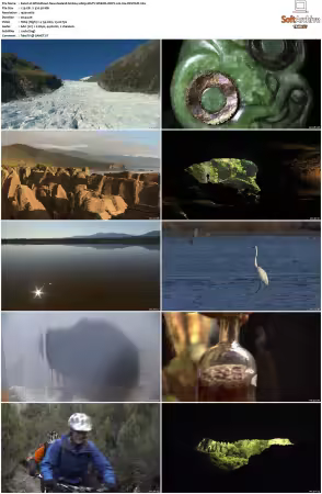 Wild About New Zealand S01 1080p MGTV WEB-DL DDP2.0 H264-DEVOUR