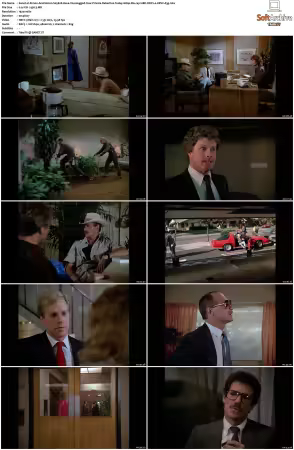 Simon and Simon S01-S08 1080p Blu-ray 10Bit DDP2.0 HEVC-d3g