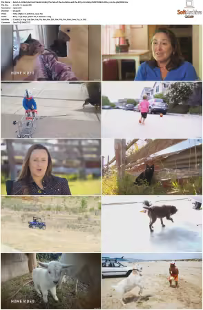 Unlikely Animal Friends S01 S03 1080p DSNP WEB-DL DD+5.1 H264-playWEB