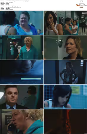 Wentworth S01 S09 1080p WEB h265-d3g