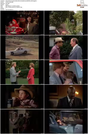 Simon and Simon S01 S08 1080p Blu-ray 10Bit DDP2.0 HEVC-d3g