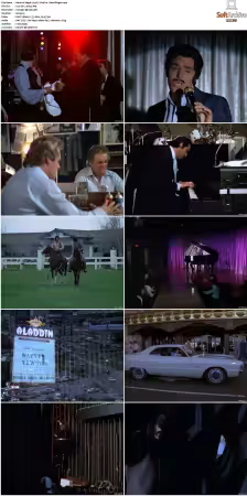 Vegas 1978 S01-S03 480p DVDRip HEVC AAC 2.0 DreadParrot