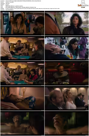 GLOW 2017 S01 S03 1080p DS4K NF Webrip DV HDR DDP5 1 x265-Vialle