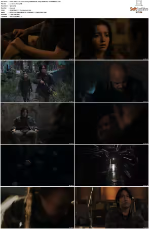 The Last of Us S02 GERMAN DL 1080p WEB h264-SAUERKRAUT