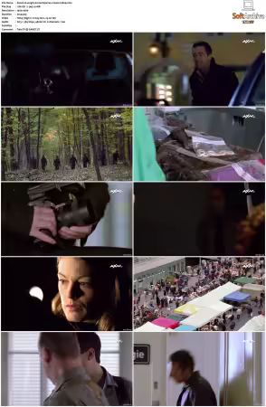 Kommissar Rex S01-S10 German 1080p HDTV x264-OMGtv