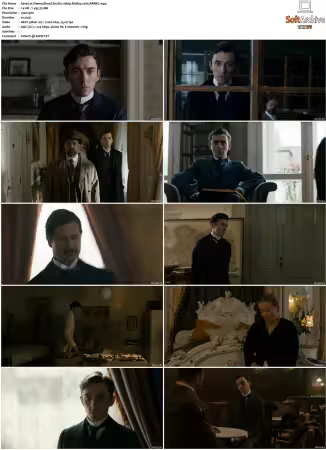 Vienna Blood S01 S04 1080p BluRay x265-MIXED